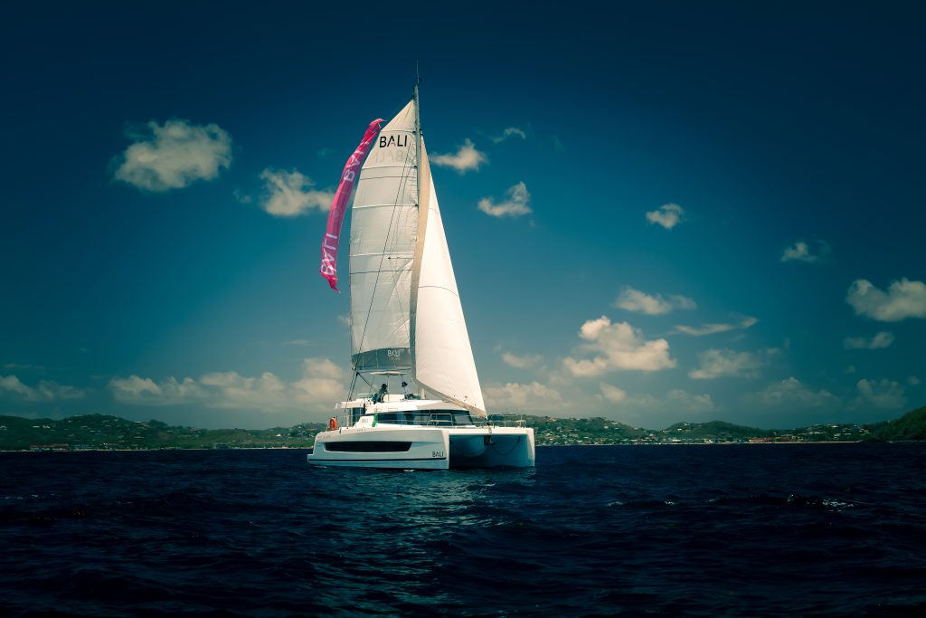 achat catamaran neuf