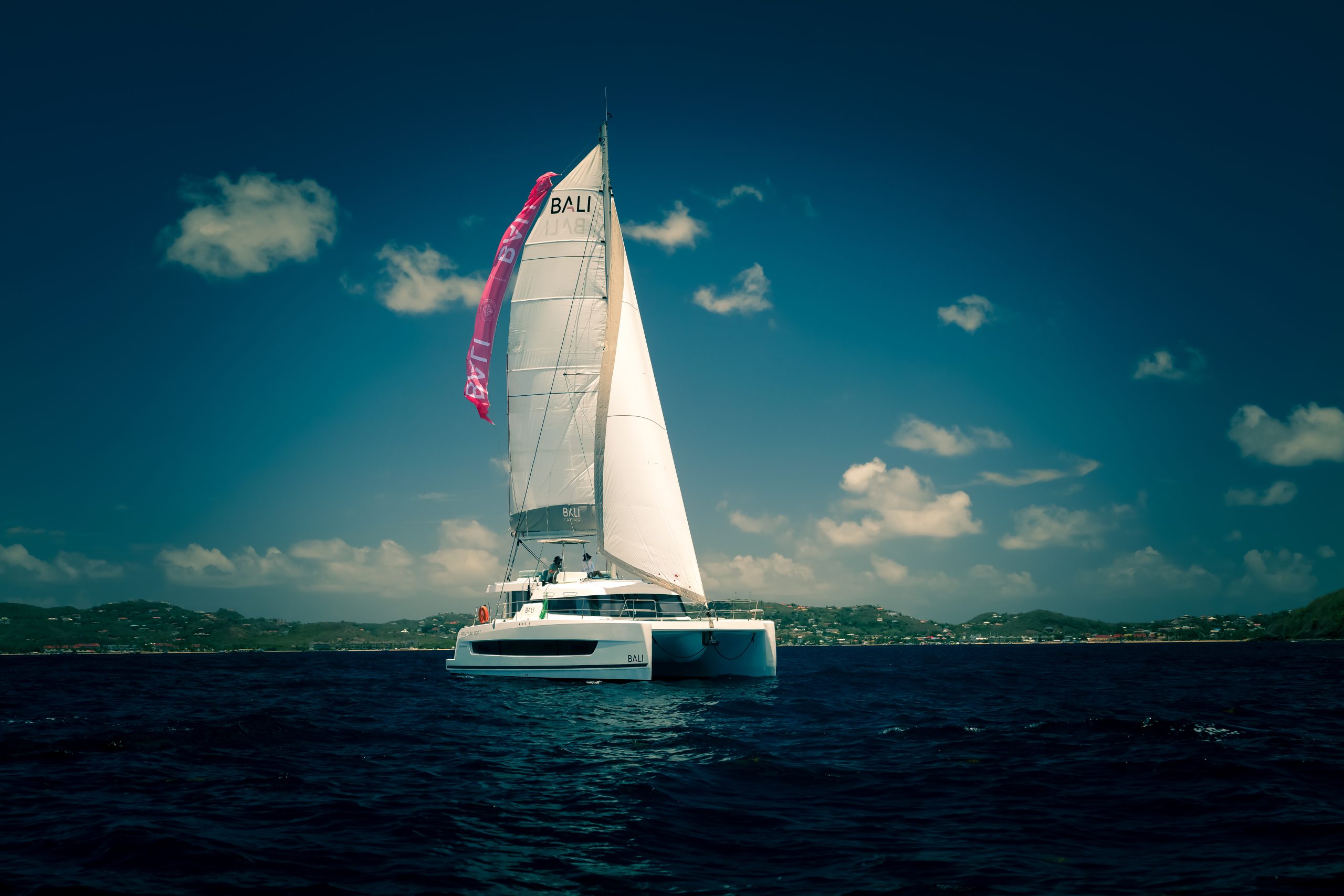 achat catamaran neuf