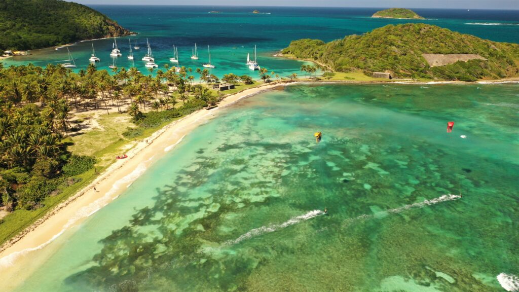 achat catamaran neuf