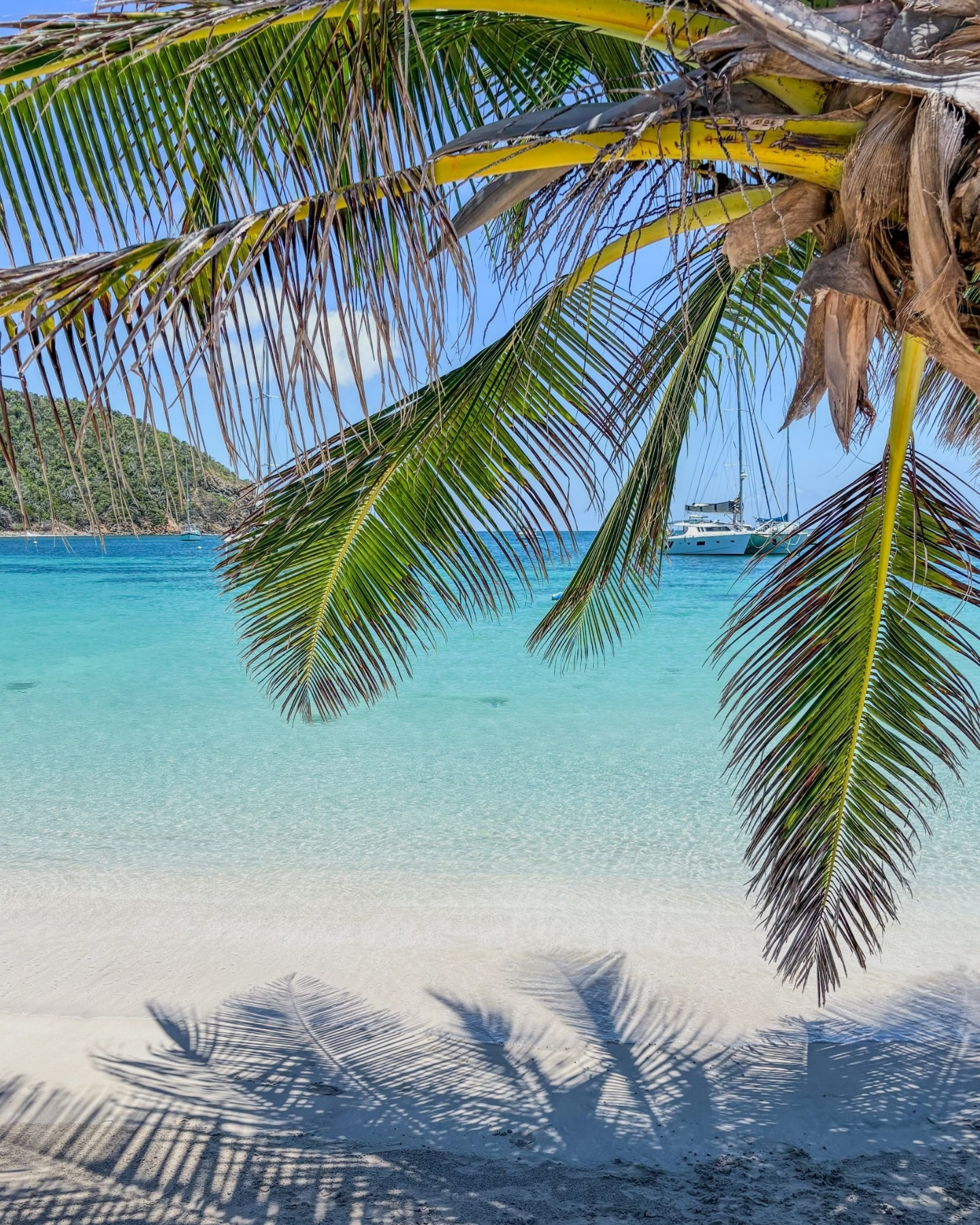 Découvrez les Antilles en croisière privée