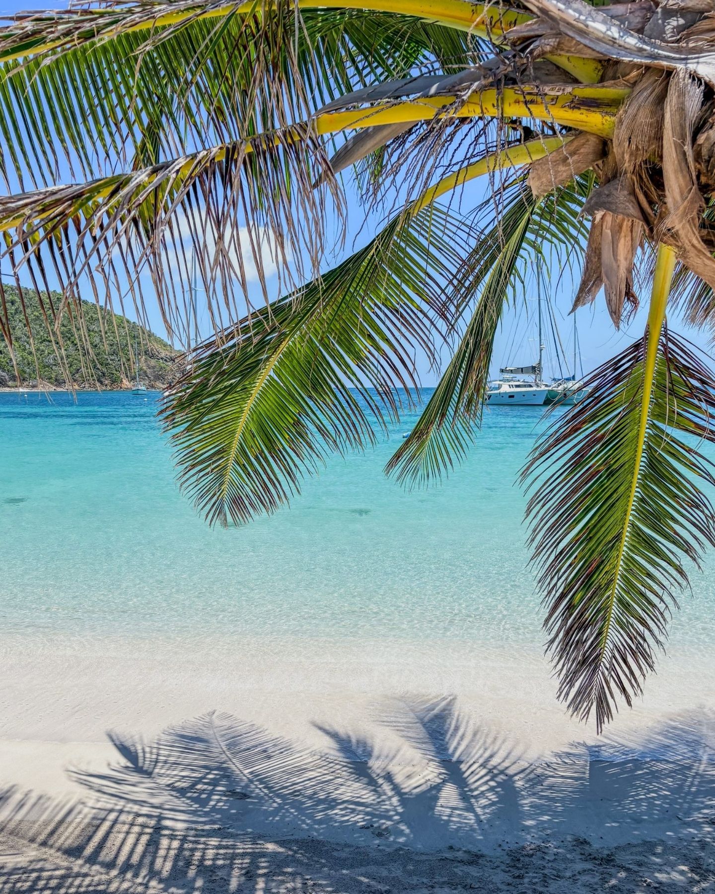 Discover the West Indies on a private cruise